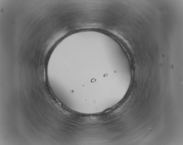 X0000076251317200610191639