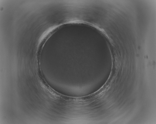 X0000076251319200610191639