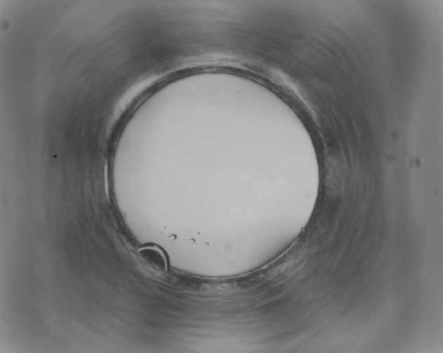 X0000076251320200610191639