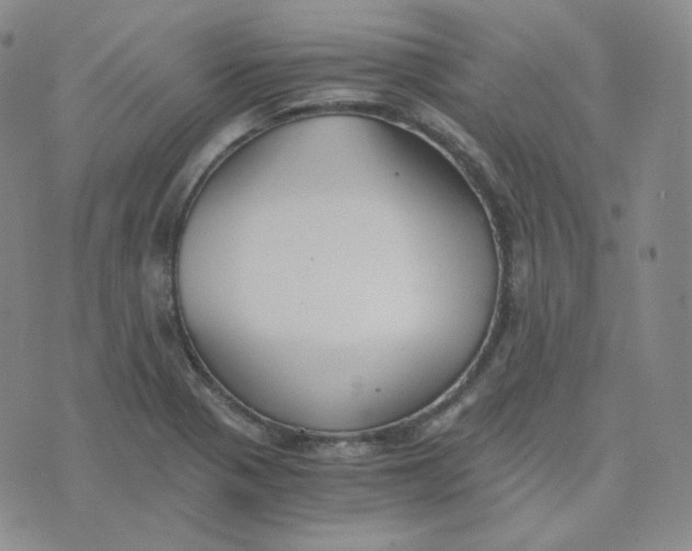 X0000076251321200610191639