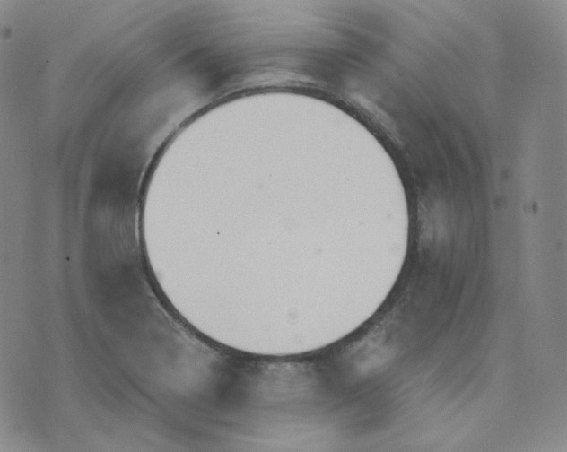 X0000076251322200610191639