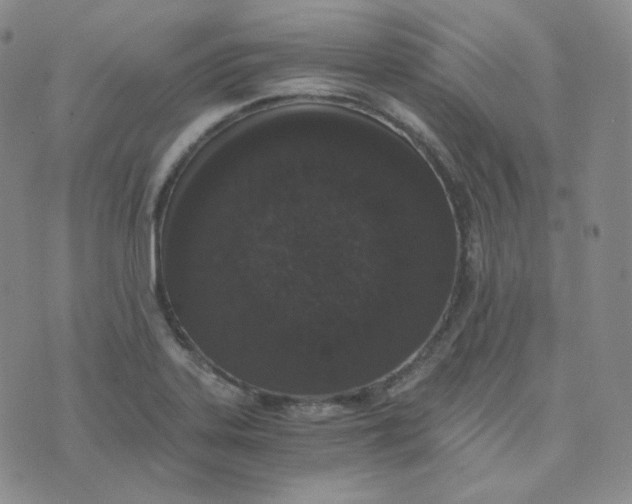 X0000076251323200610191639