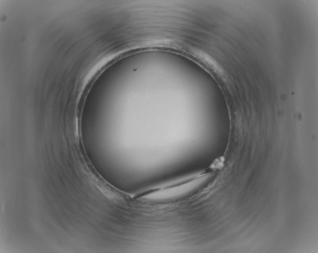 X0000076251324200610191639