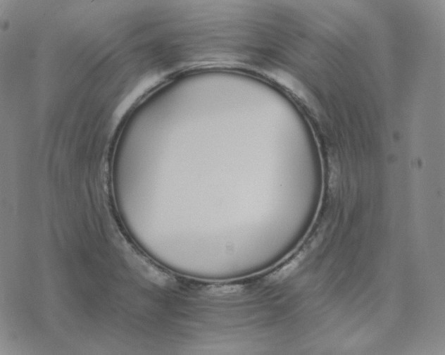 X0000076251325200610191639