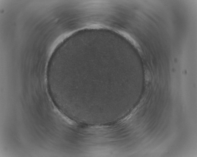 X0000076251327200610191639