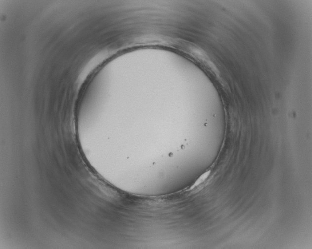 X0000076251328200610191639