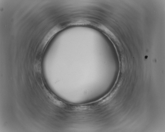 X0000076251329200610191639