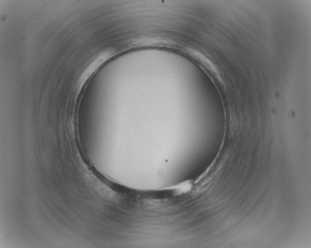 X0000076251330200610191639