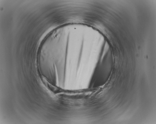 X0000076251331200610191639