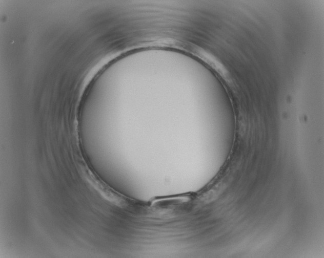 X0000076251332200610191639