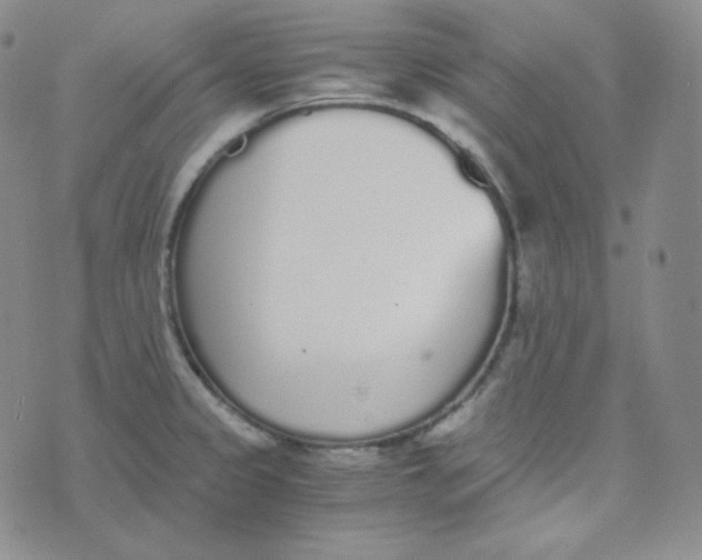 X0000076251333200610191639