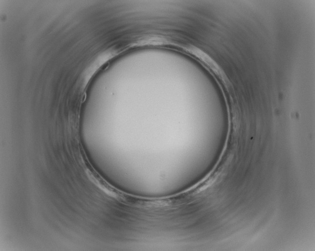 X0000076251337200610191639