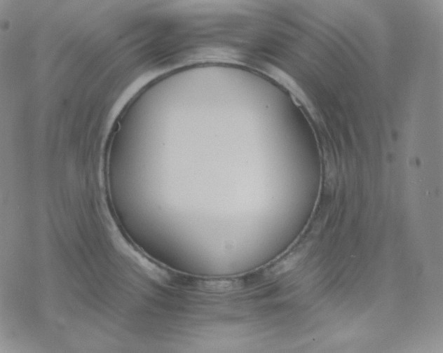 X0000076251339200610191639