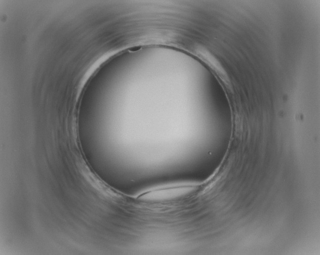 X0000076251340200610191639