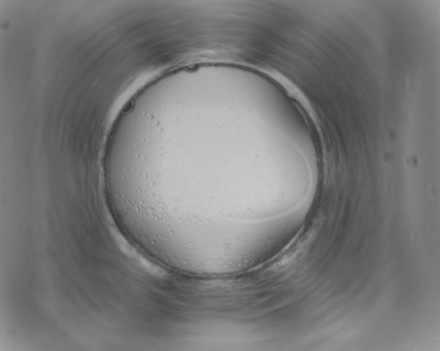 X0000076251341200610191639