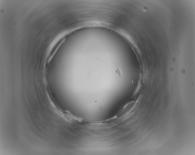 X0000076251342200610191639