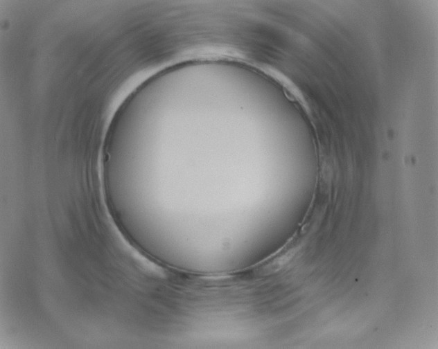 X0000076251343200610191639