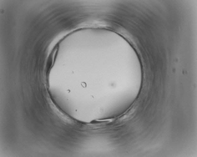 X0000076251344200610191639