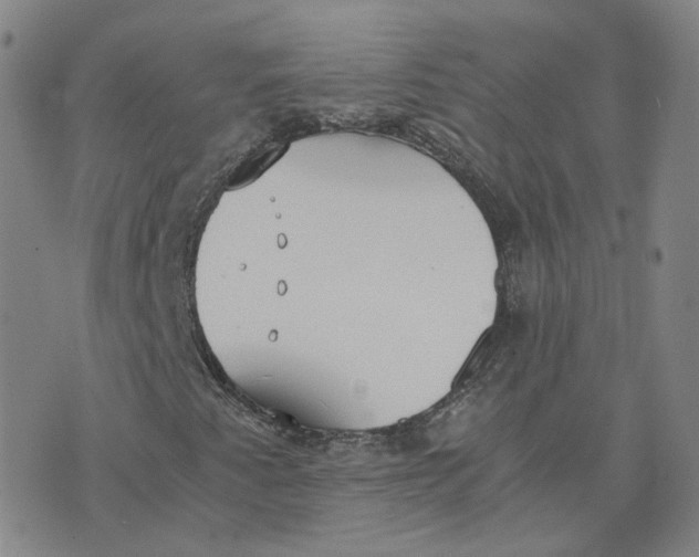 X0000076251345200610191638