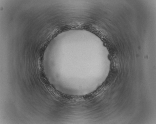 X0000076251346200610191638