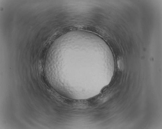 X0000076251347200610191638