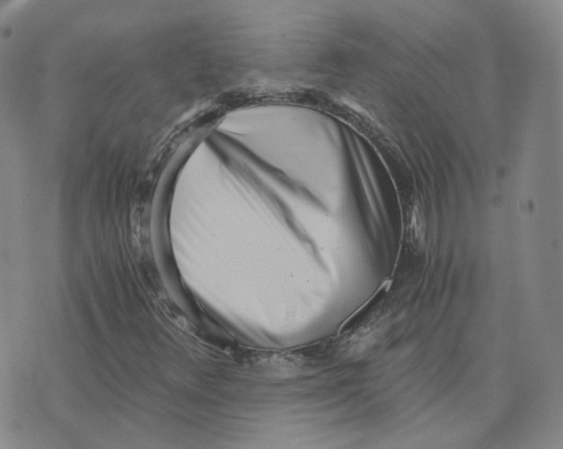 X0000076251348200610191638