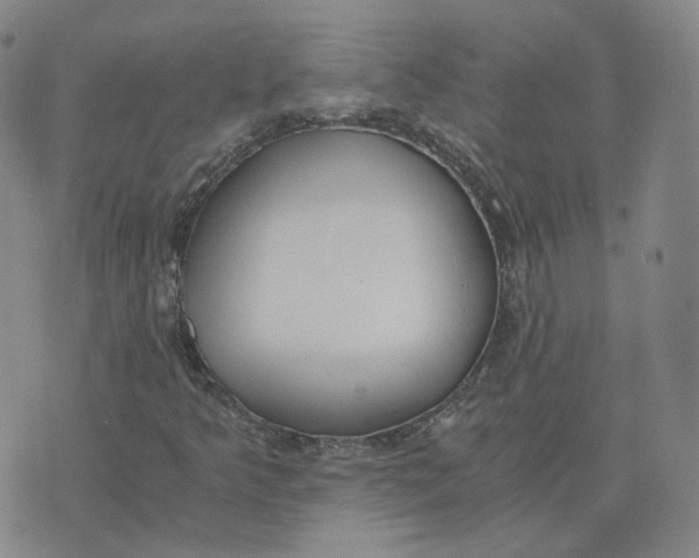 X0000076251349200610191638