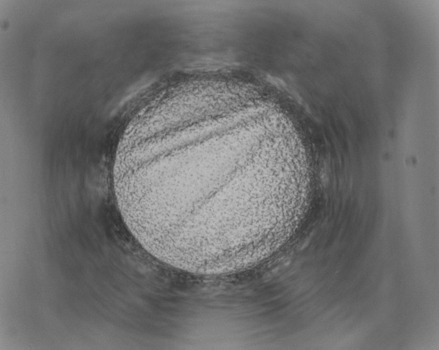 X0000076251350200610191638