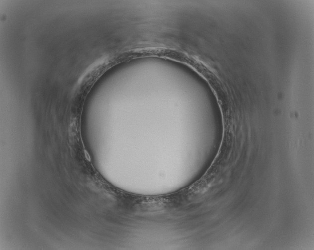 X0000076251351200610191638