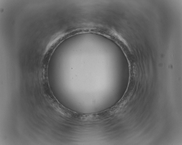 X0000076251352200610191638