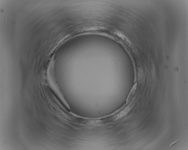 X0000076251353200610191638