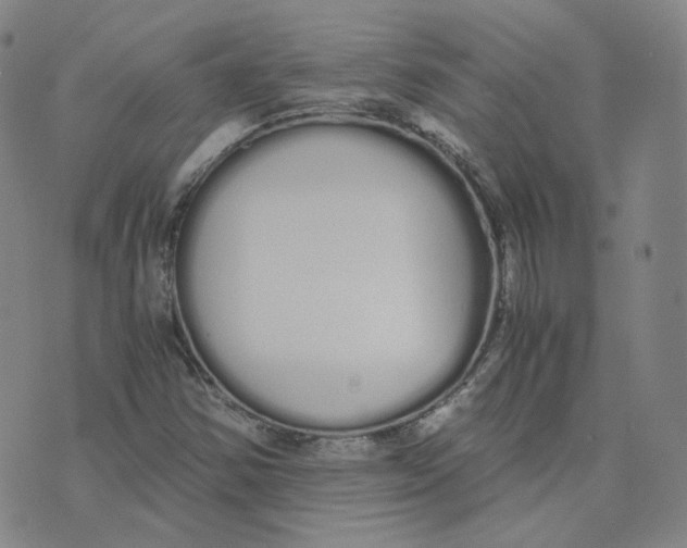 X0000076251354200610191638