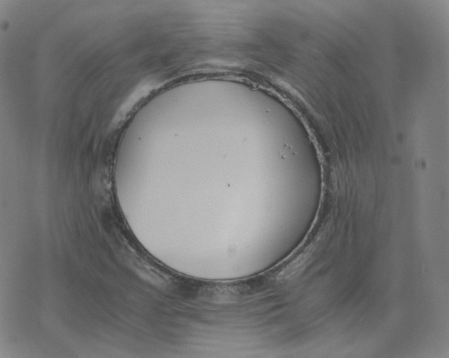 X0000076251355200610191638