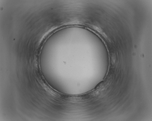 X0000076251356200610191638