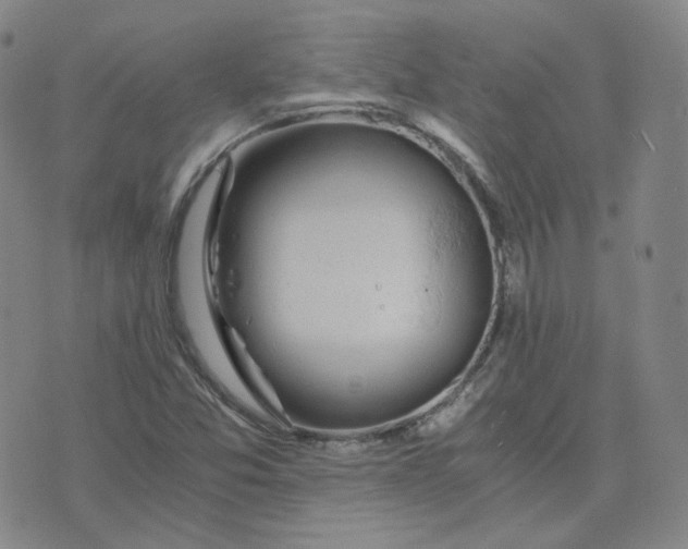 X0000076251357200610191638