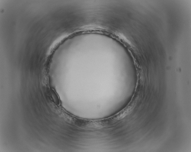 X0000076251358200610191638