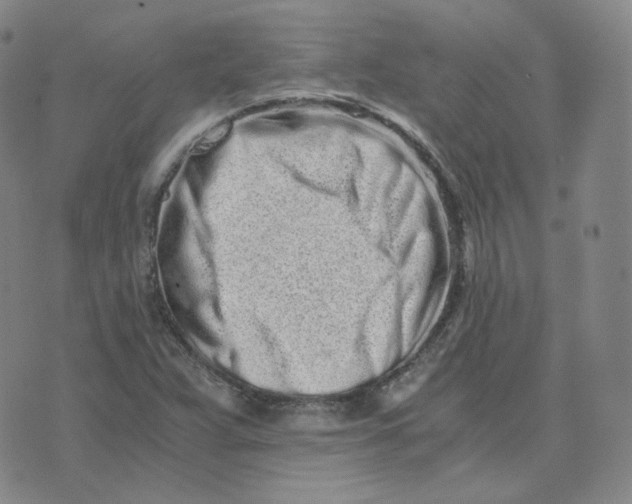 X0000076251359200610191638