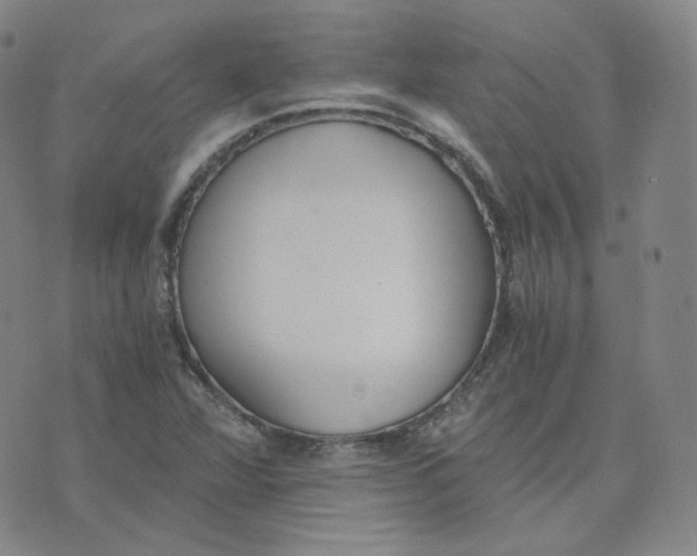 X0000076251360200610191638