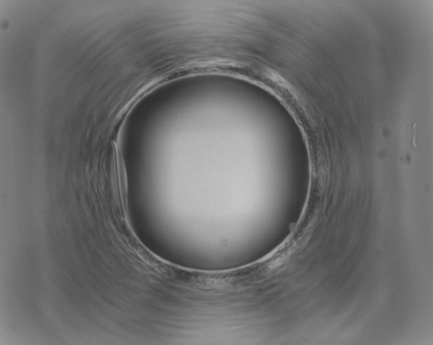 X0000076251361200610191638