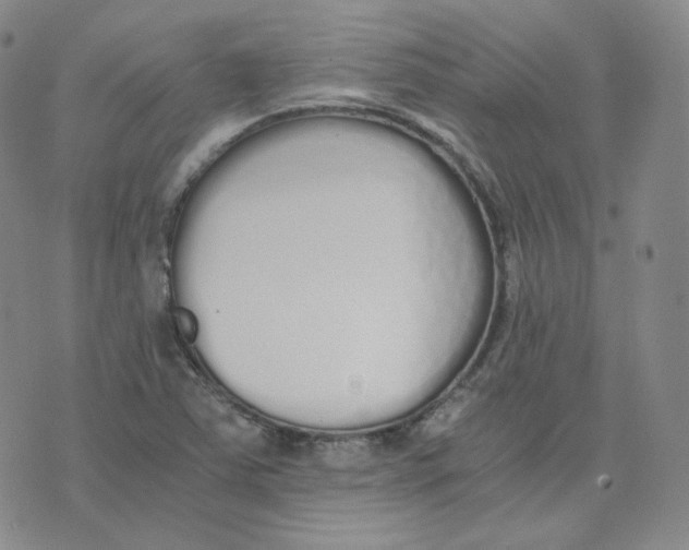 X0000076251363200610191638