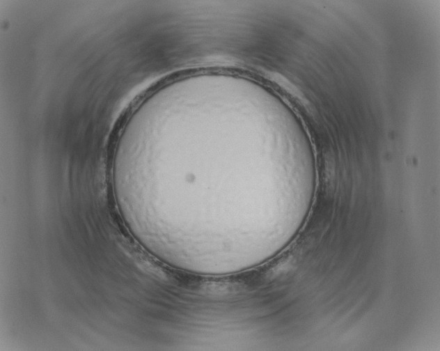 X0000076251364200610191638