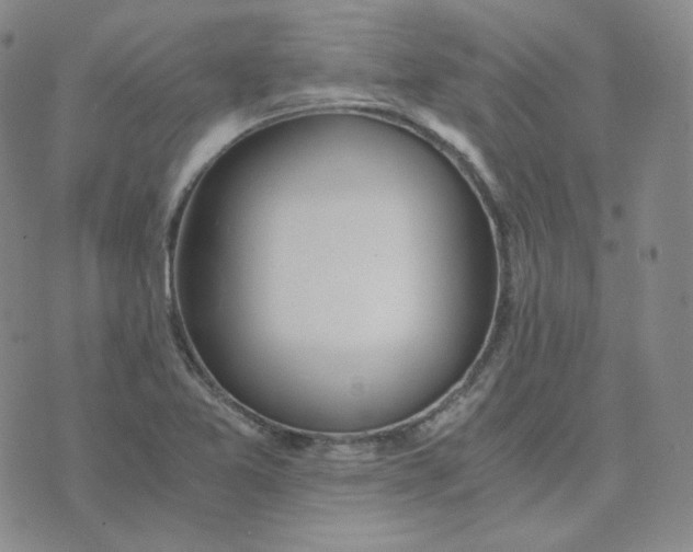 X0000076251365200610191638