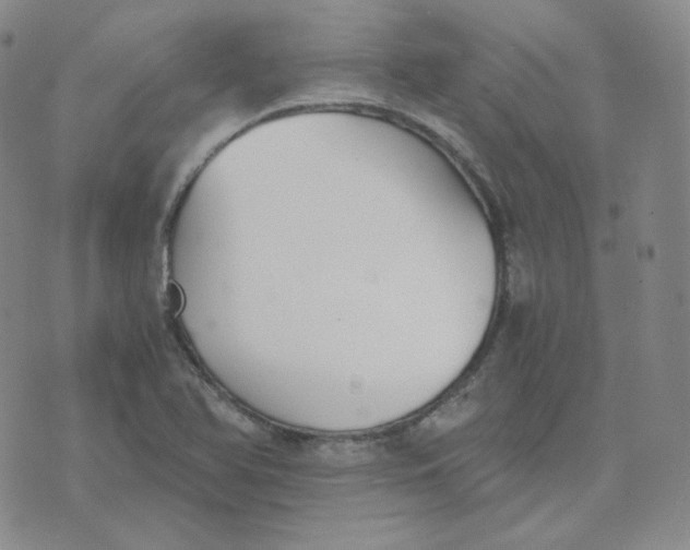 X0000076251366200610191638