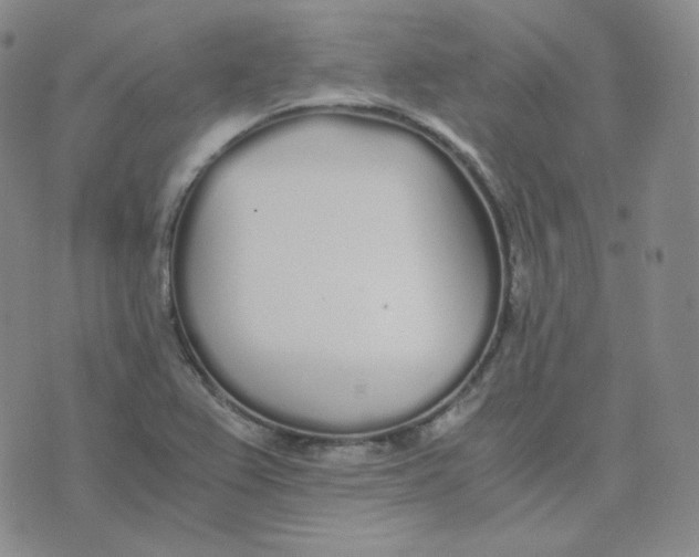 X0000076251367200610191638