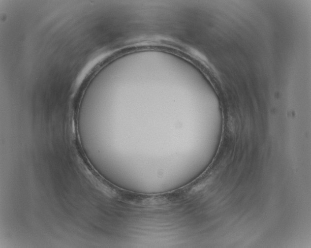 X0000076251368200610191638