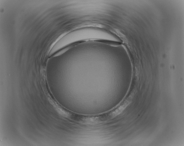 X0000076251369200610191638