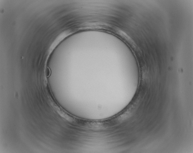 X0000076251370200610191638