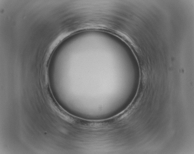 X0000076251371200610191638