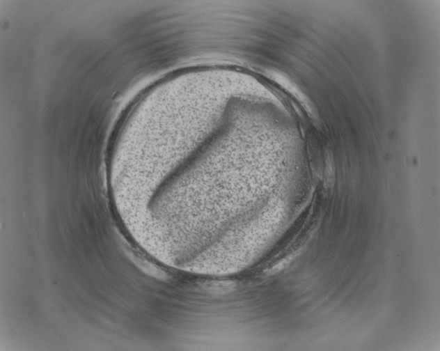 X0000076251372200610191638