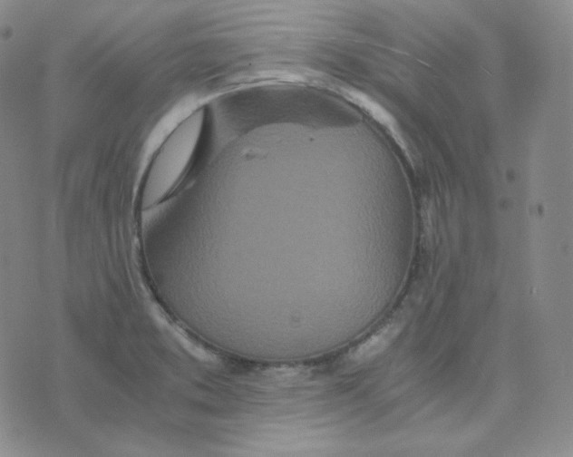 X0000076251373200610191638